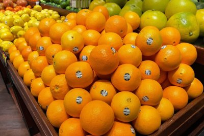 Navigating the Compostable Landscape